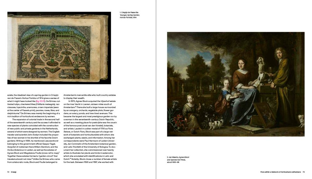 Rachel Ruysch: Nature into Art