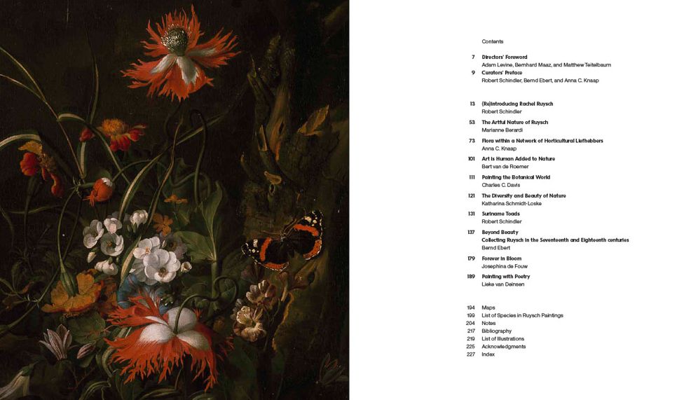 Rachel Ruysch: Nature into Art