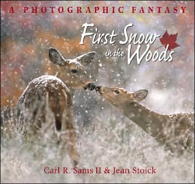 First Snow in the Woods