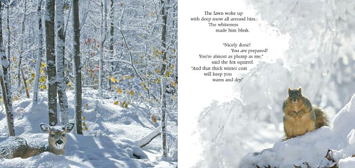 First Snow in the Woods