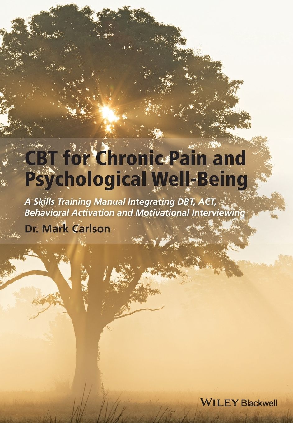 CBT for Chronic Pain and Psychological Well-Being: A Skills Training Manual Integrating DBT, ACT, Behavioral Activation and Motivational Interviewing