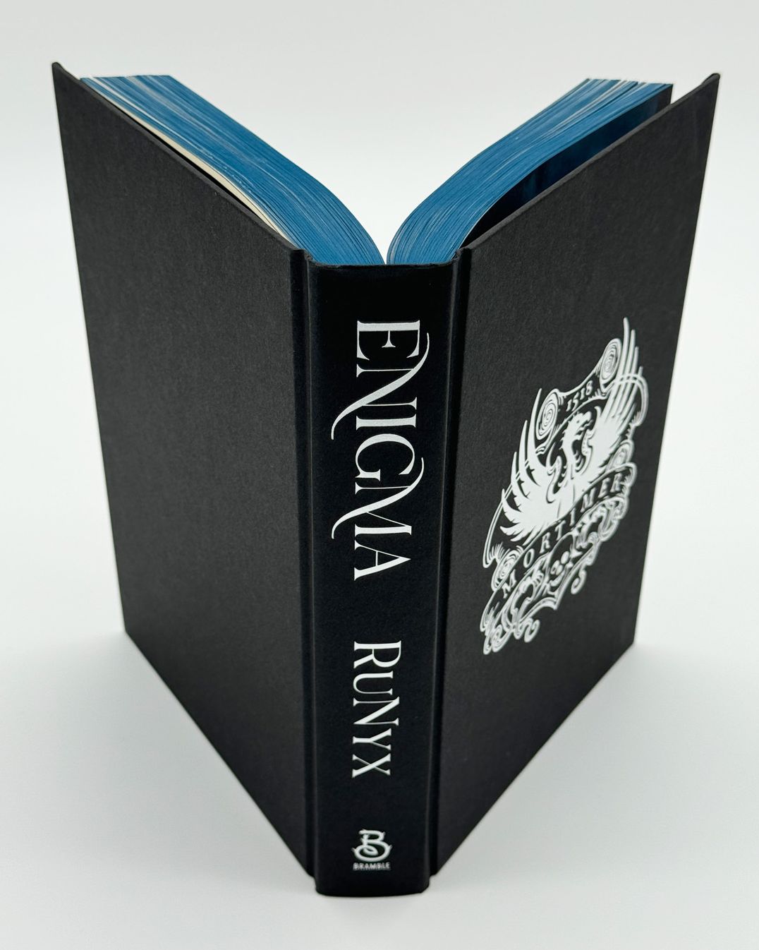 Enigma: A Dark Academia Romance