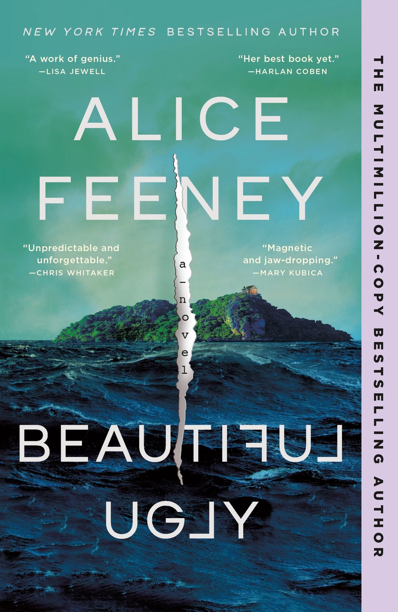 Beautiful Ugly: A Novel