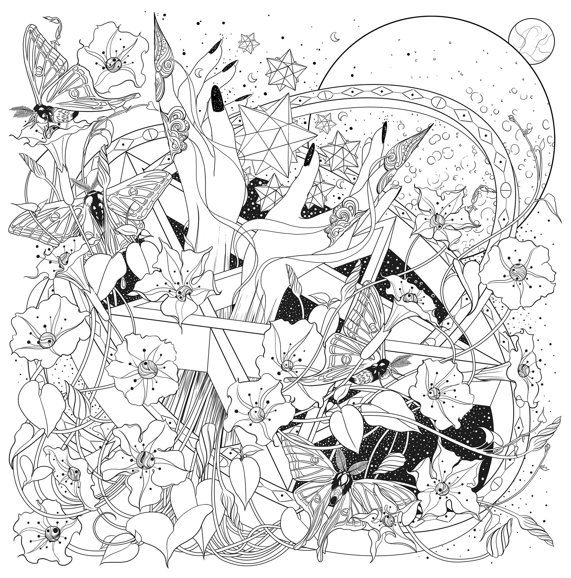 Mythographic Color and Discover: Magick Apothecary: An Artist's Coloring Book for Modern Mystics