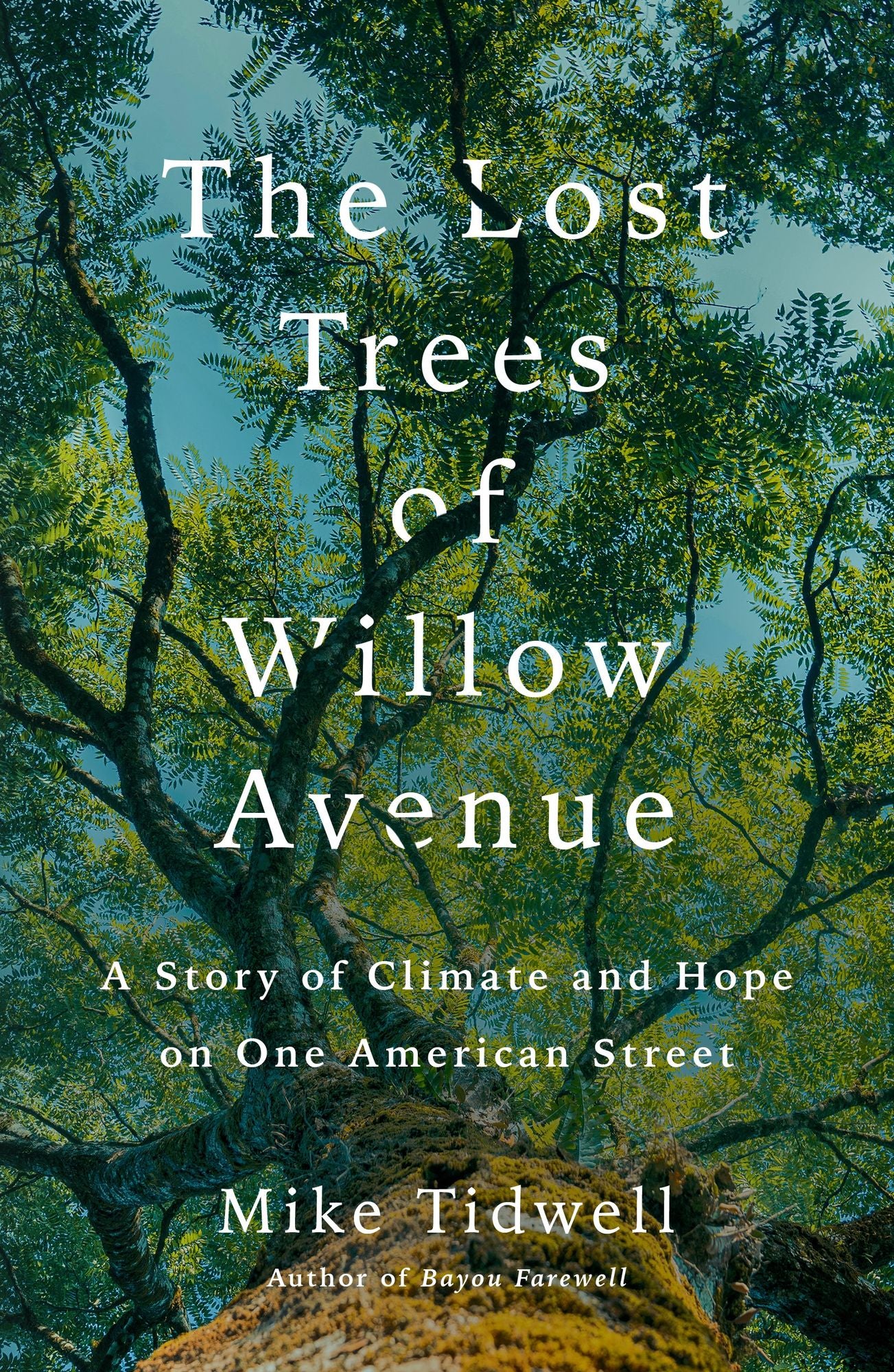 The Lost Trees of Willow Avenue: A Story of Climate and Hope on One American Street