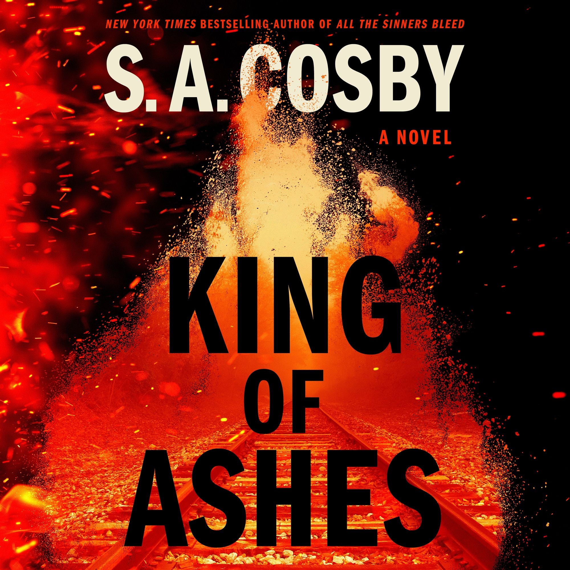 King of Ashes: A Novel