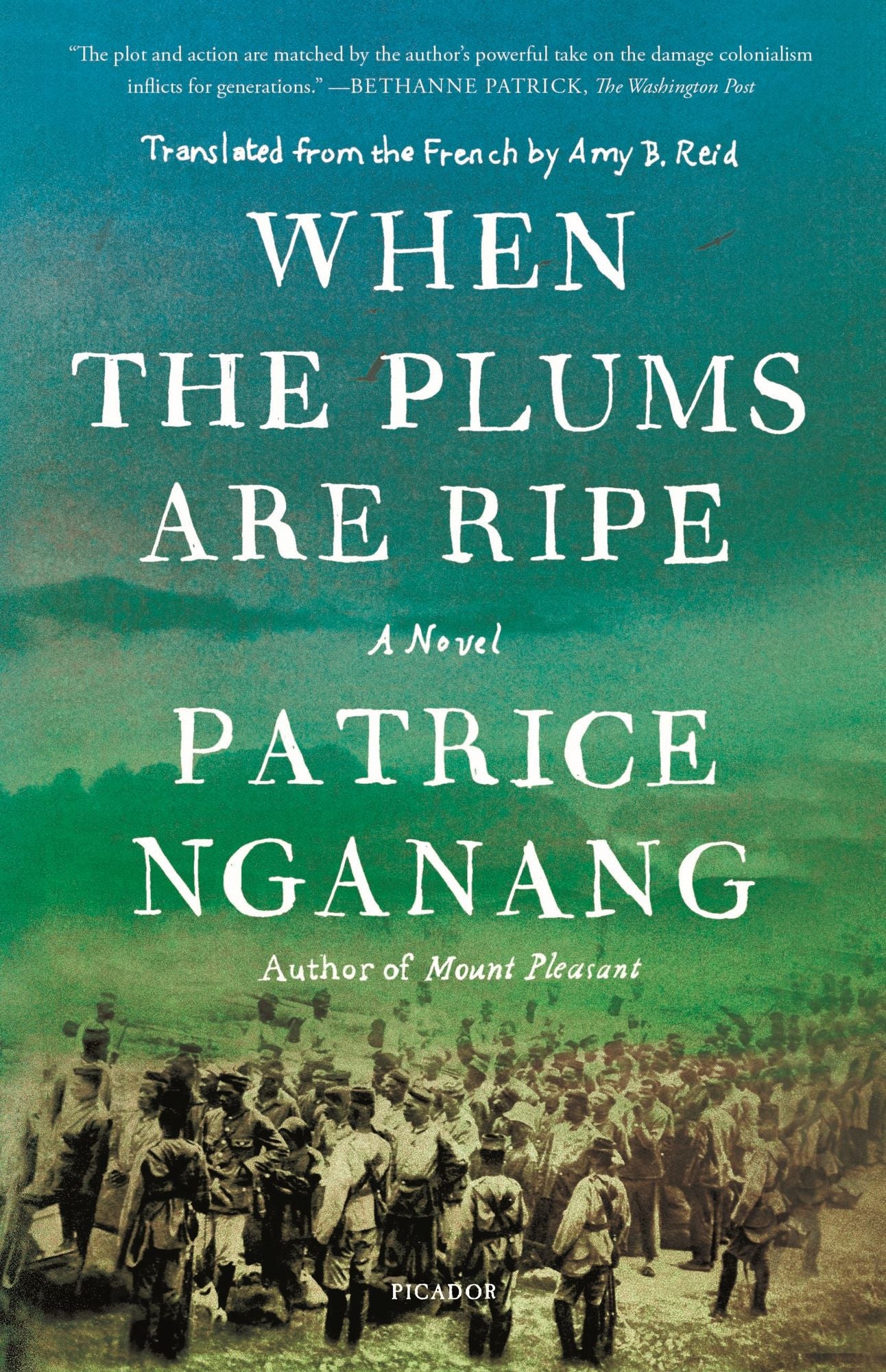 When the Plums Are Ripe: A Novel