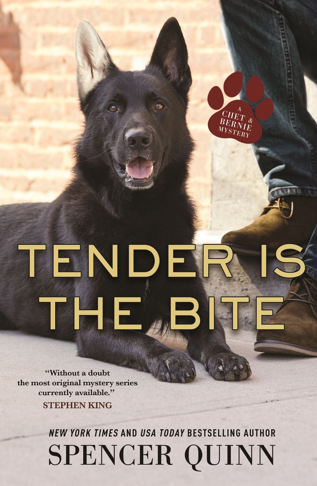 Tender Is the Bite (Chet and Bernie Series #11)