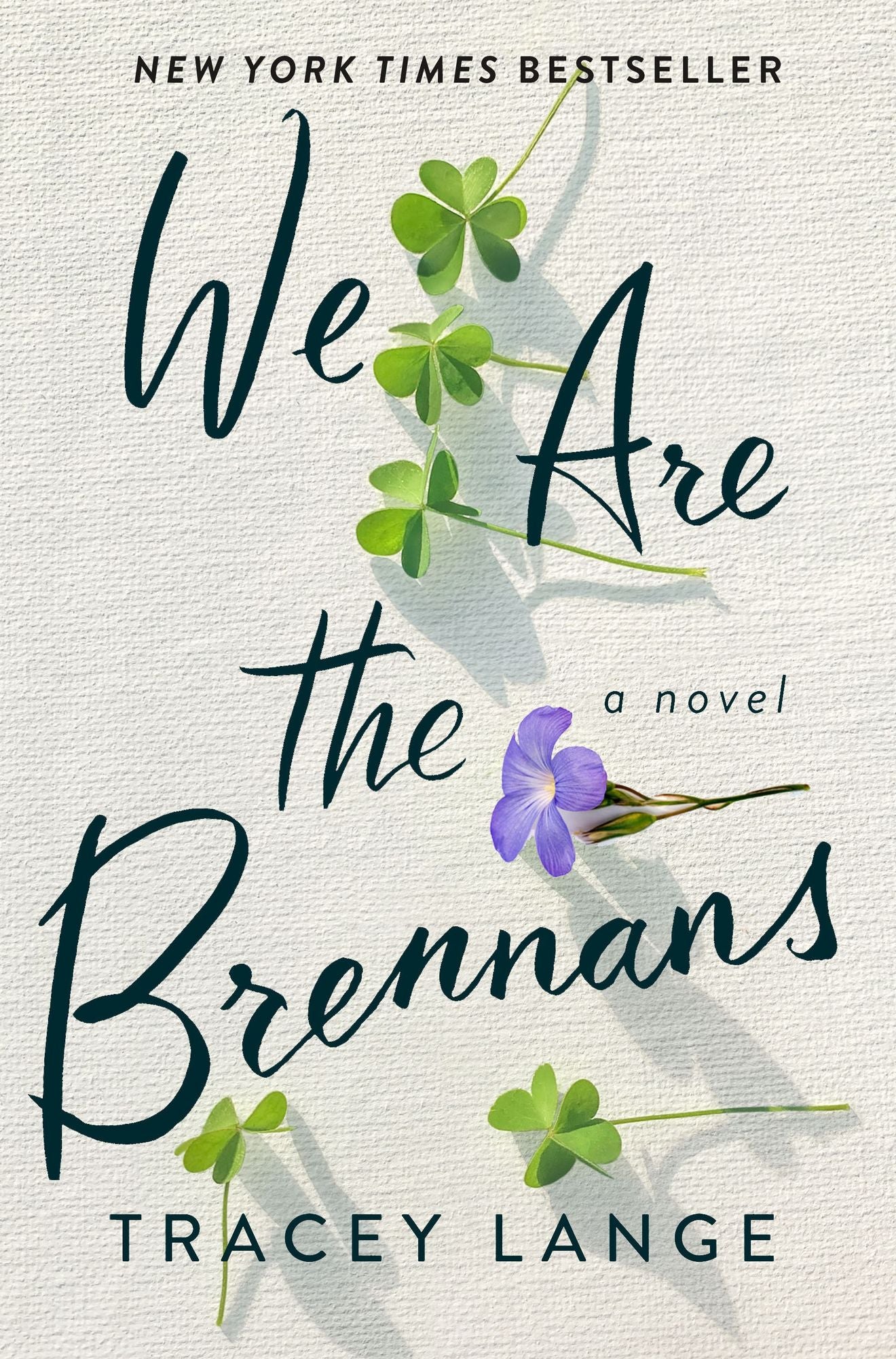 We Are the Brennans: A Novel