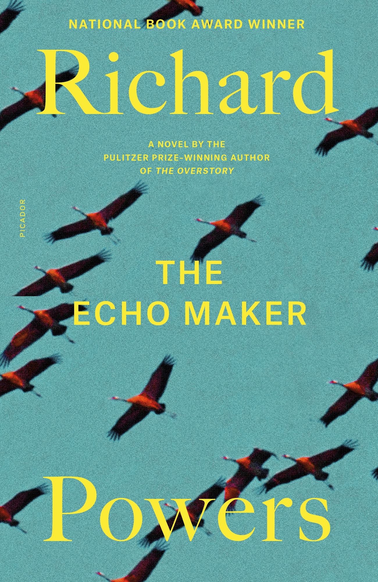 The Echo Maker (National Book Award Winner)