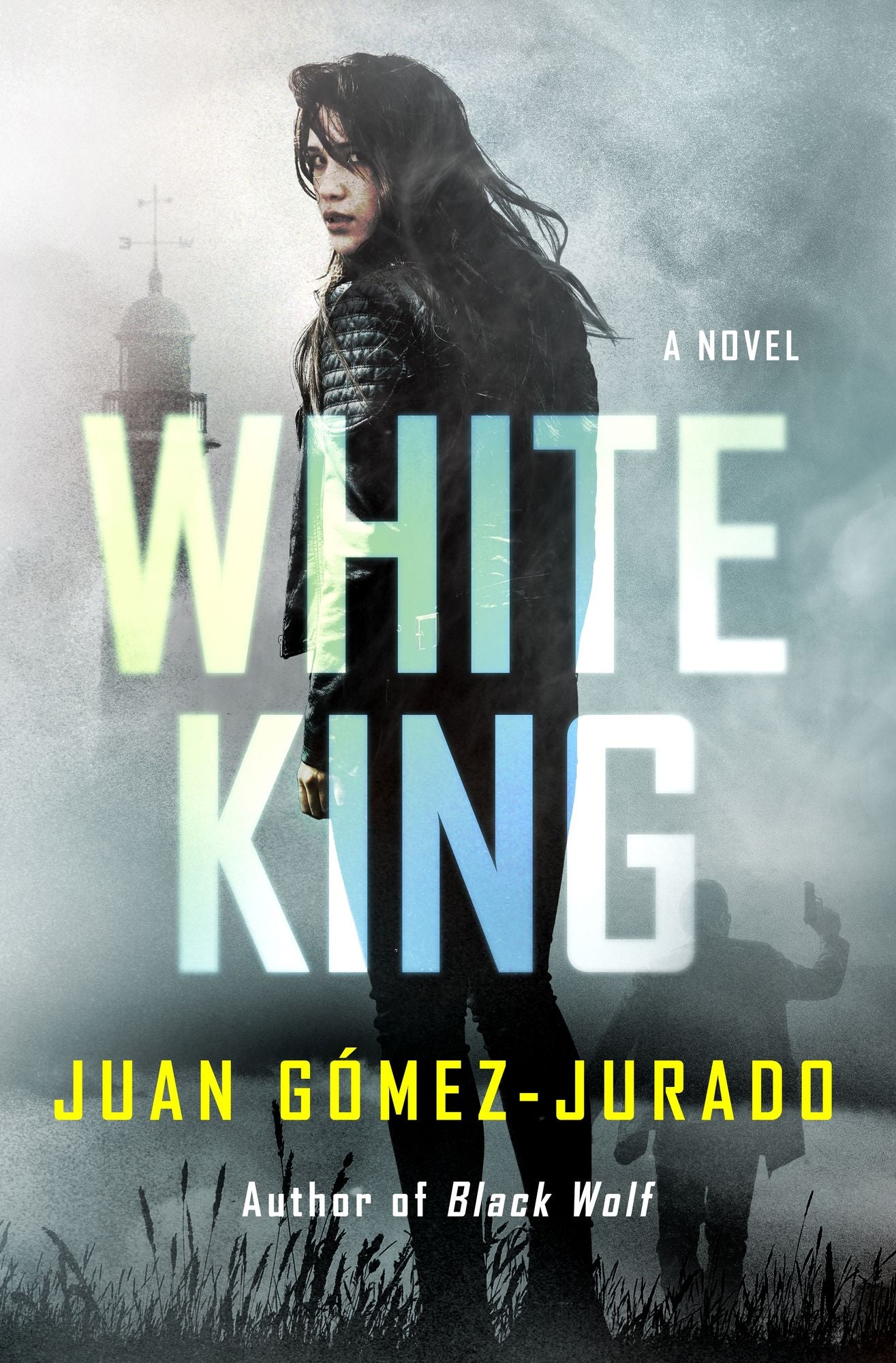 White King: A Novel