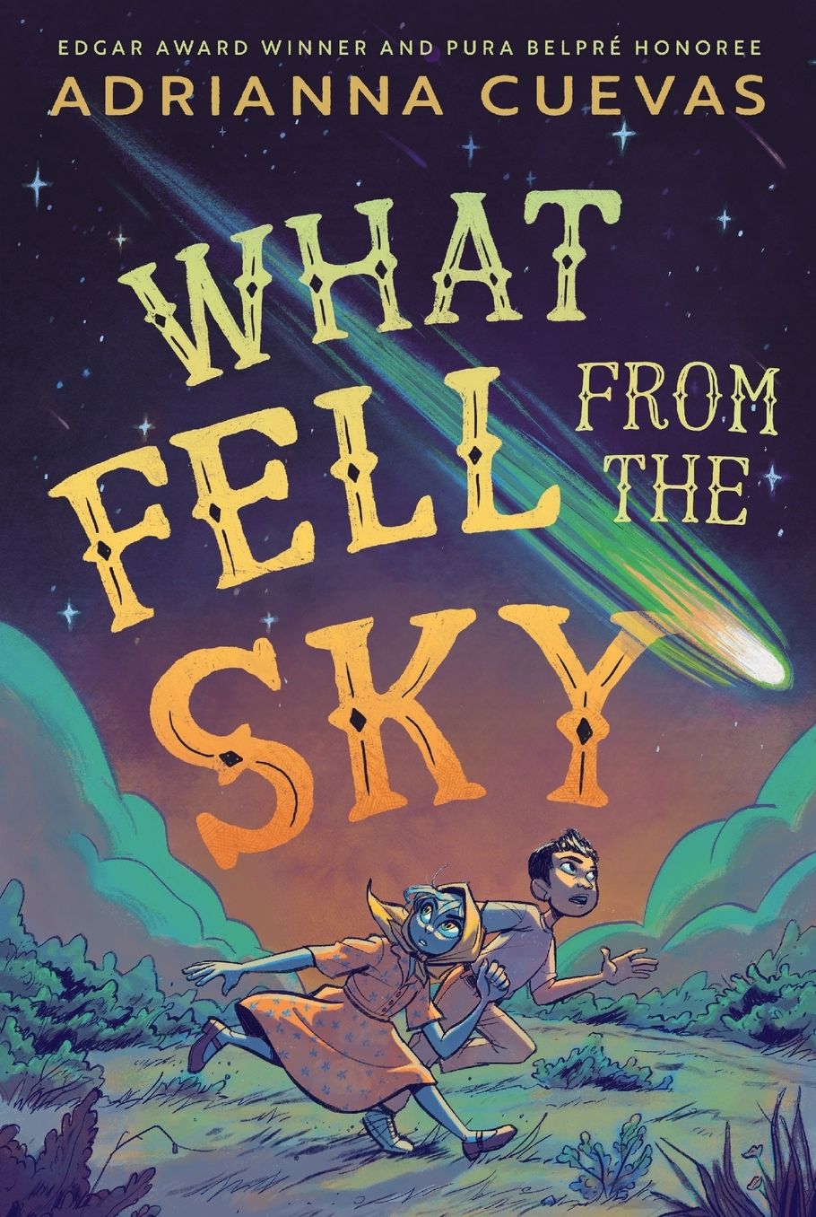 What Fell from the Sky