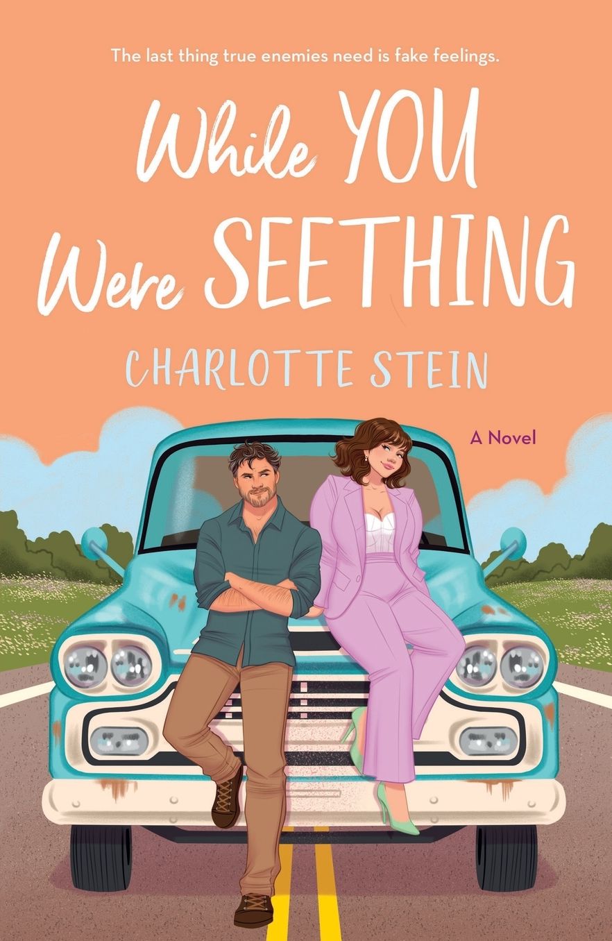 While You Were Seething: A Novel