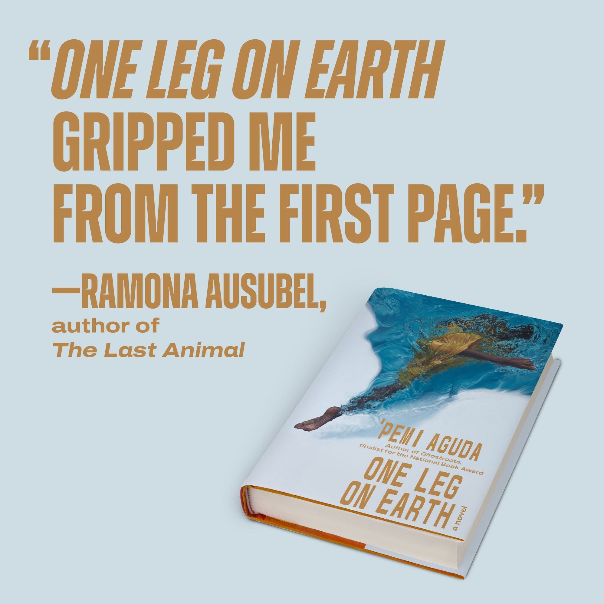 One Leg on Earth: A Novel