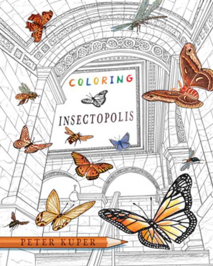 Coloring Insectopolis