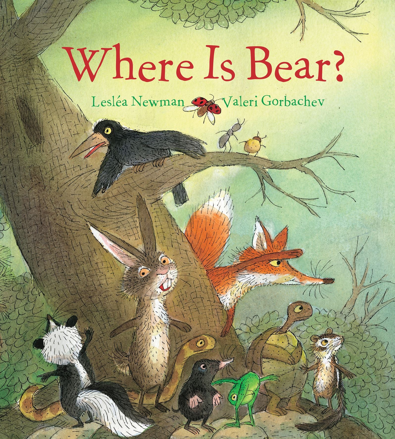 Where Is Bear? Padded