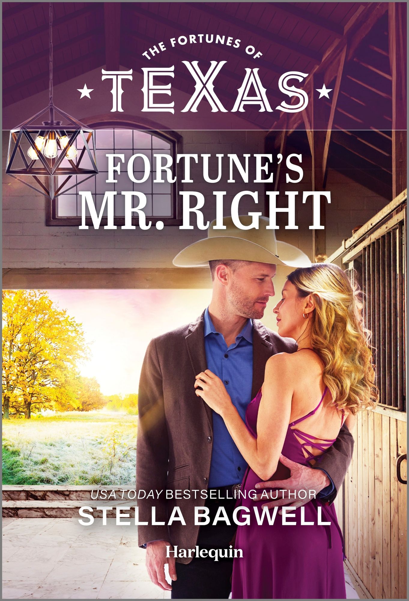 Fortune's Mr. Right