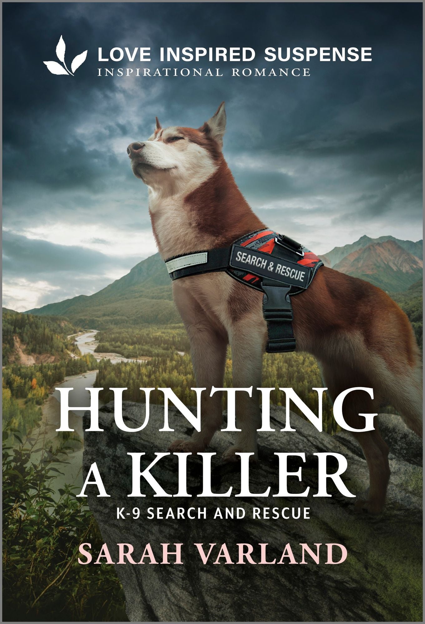 Hunting a Killer