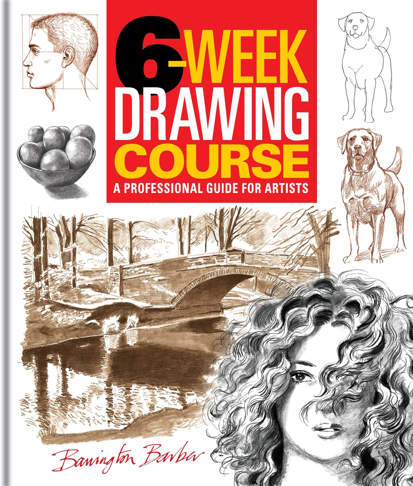 6-Week Drawing Course