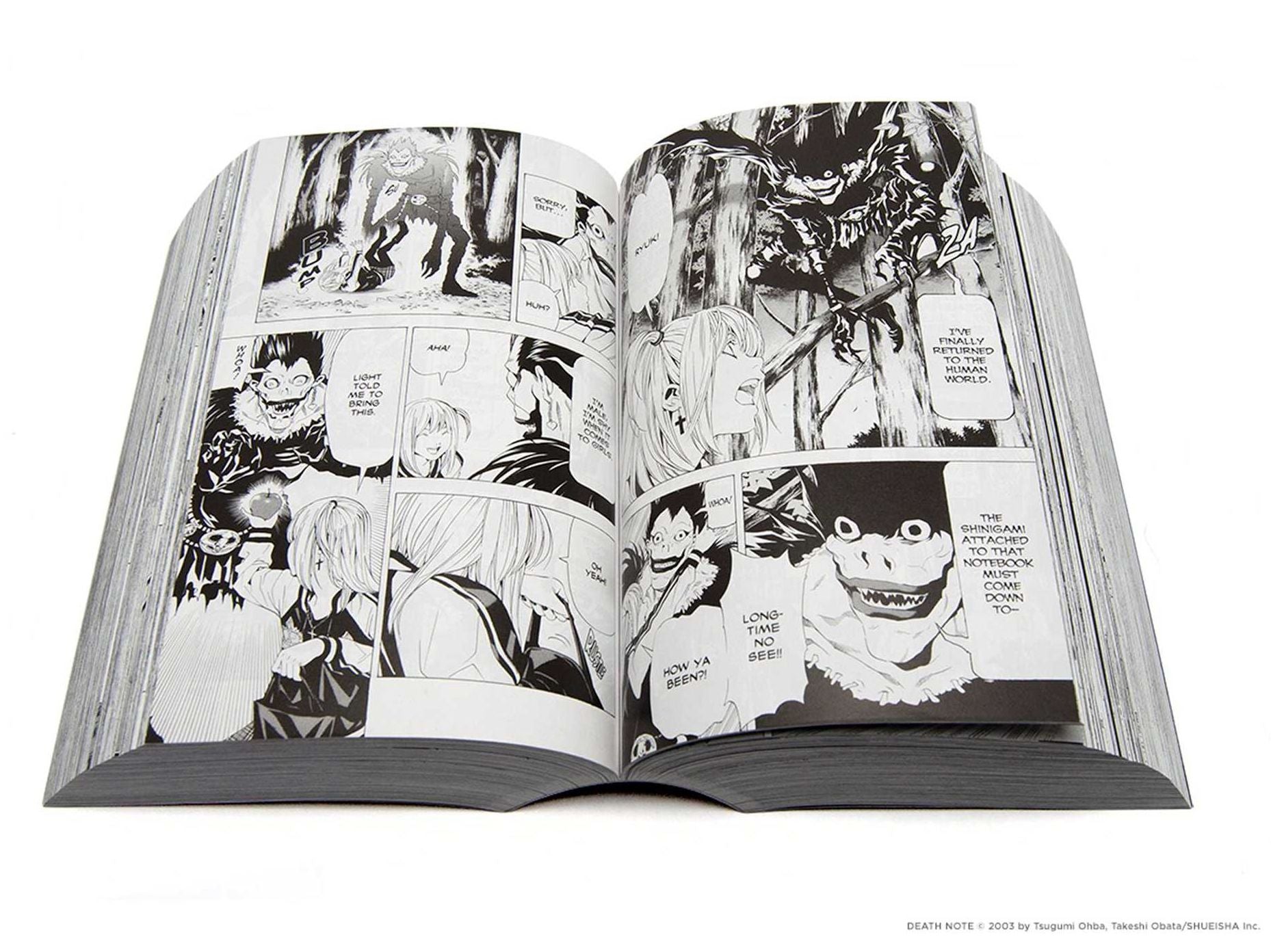 Death Note (All-in-One Edition)