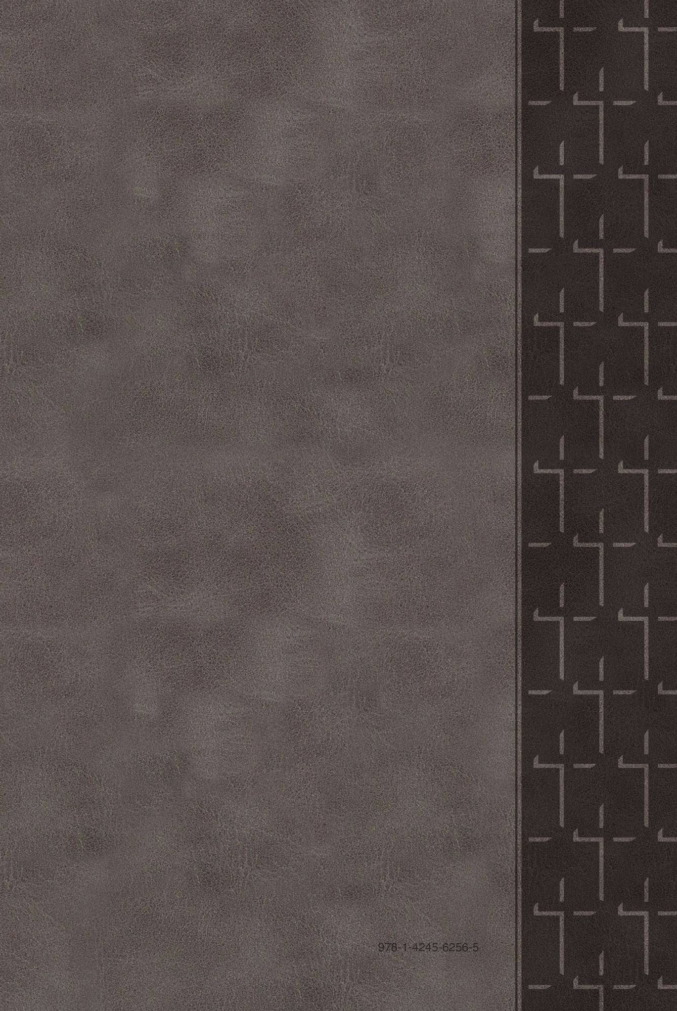 The Passion Translation New Testament (2020 Edition) Large Print Gray: with Psalms, Proverbs, and Song of Songs