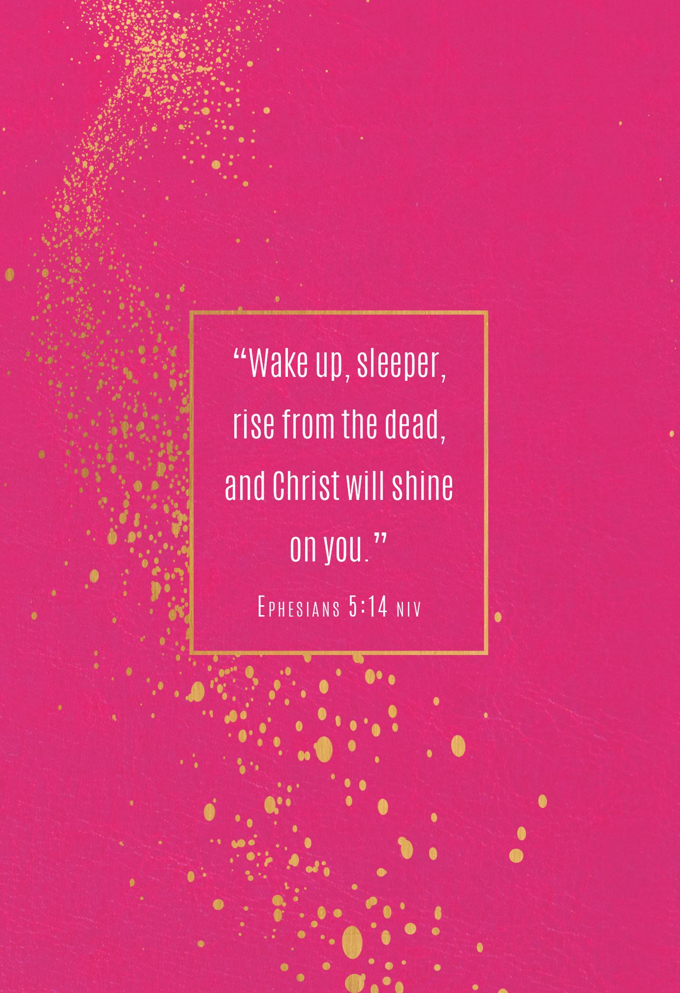 Wake Up Your Faith: 365 Daily Encounters with Jesus