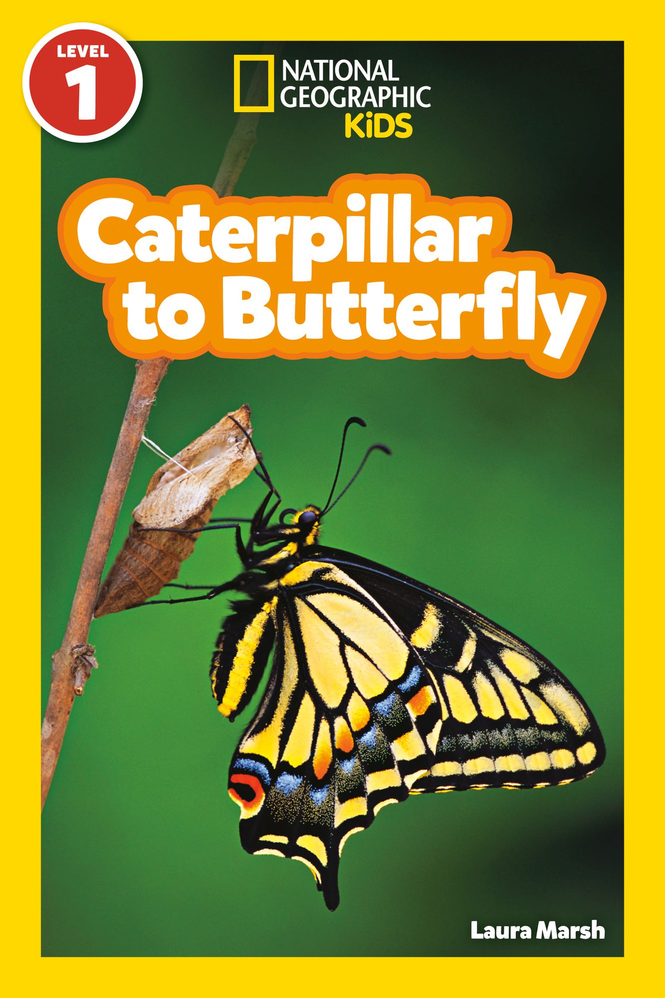 Caterpillar to Butterfly (National Geographic Readers Series)
