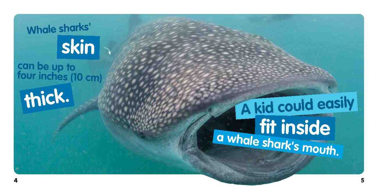 Weird But True! Ocean: 300 Fantastic Facts From the Deep Blue Sea