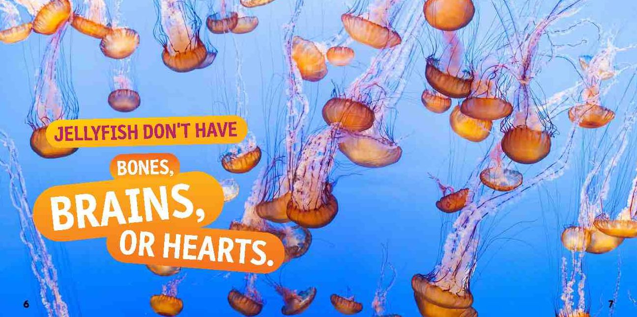 Weird But True! Ocean: 300 Fantastic Facts From the Deep Blue Sea
