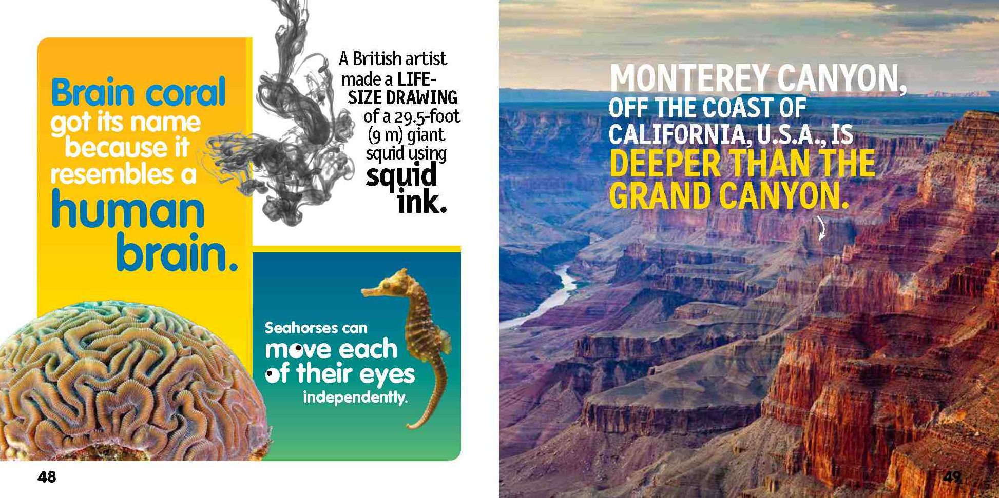 Weird But True! Ocean: 300 Fantastic Facts From the Deep Blue Sea