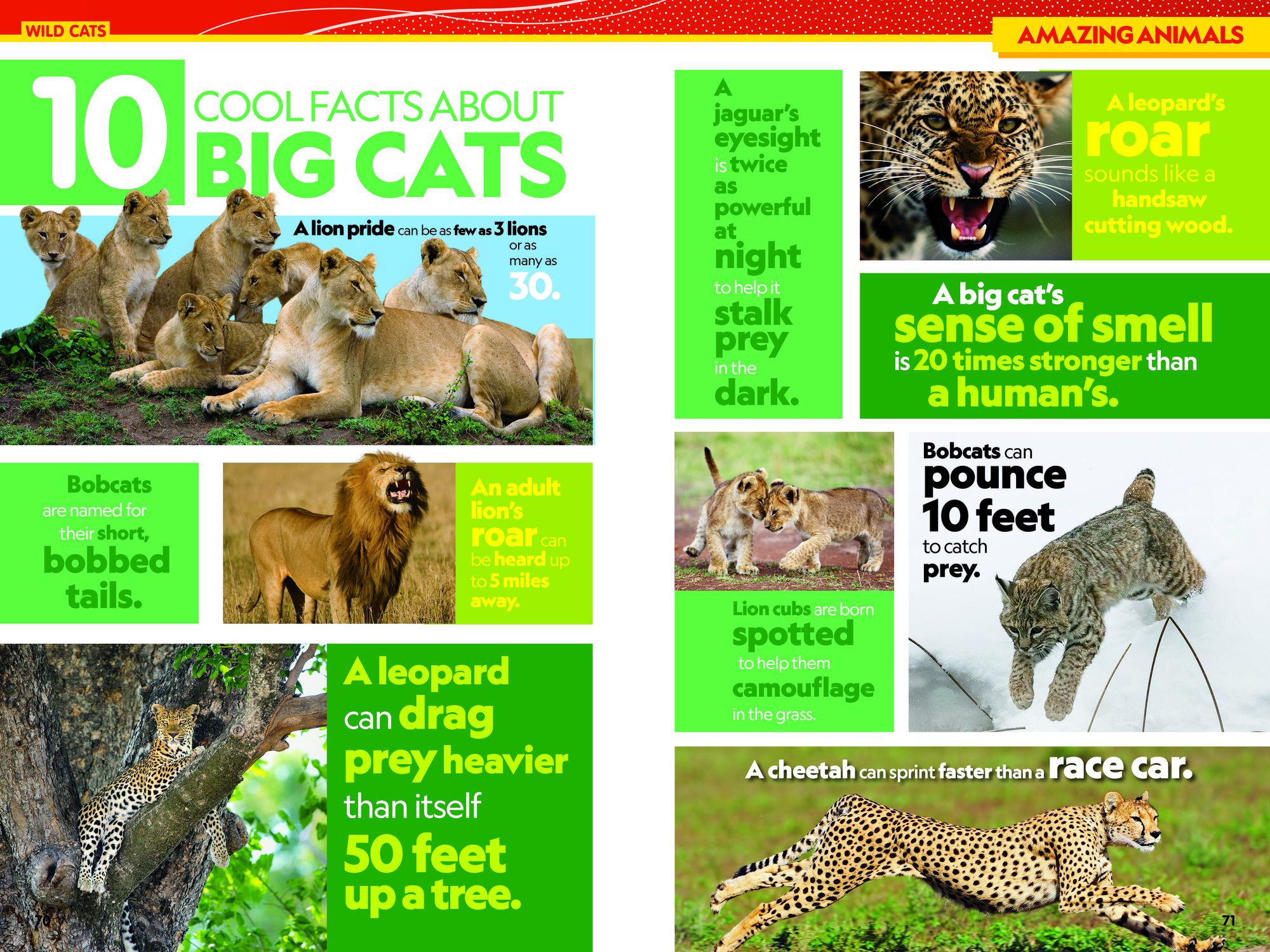 National Geographic Kids Almanac 2026