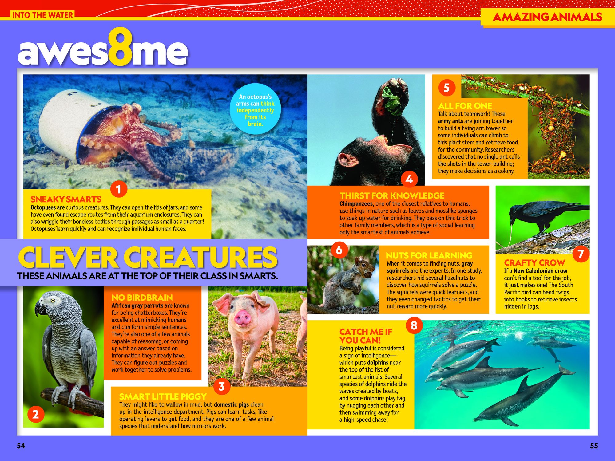 National Geographic Kids Almanac 2026