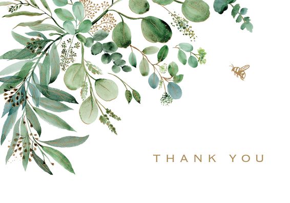 Eucalyptus Thank You Notes