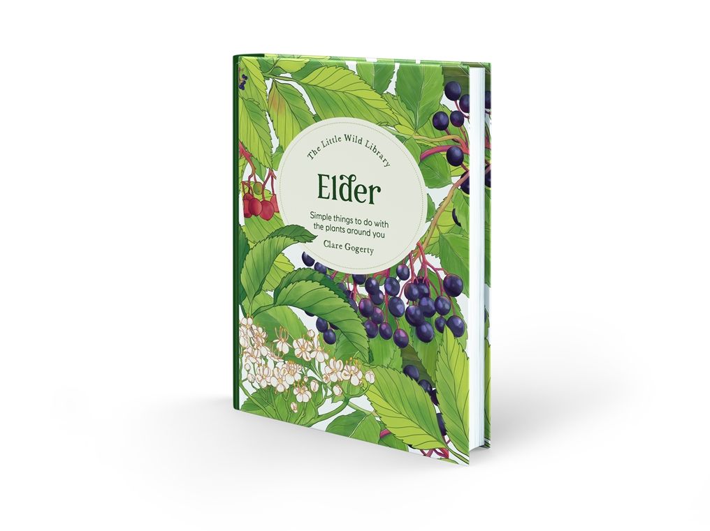 The Little Wild Library: Elder: Simple things to do with the plants around you.