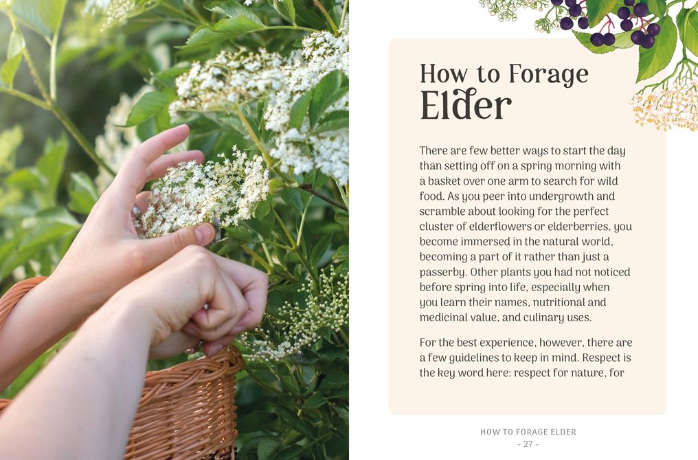 The Little Wild Library: Elder: Simple things to do with the plants around you.
