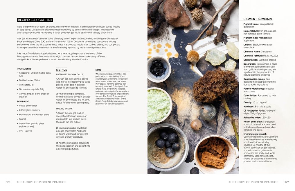 The Natural Pigment Handbook: A Maker's Guide to the Art, Stories and Recipes for Creating Paint