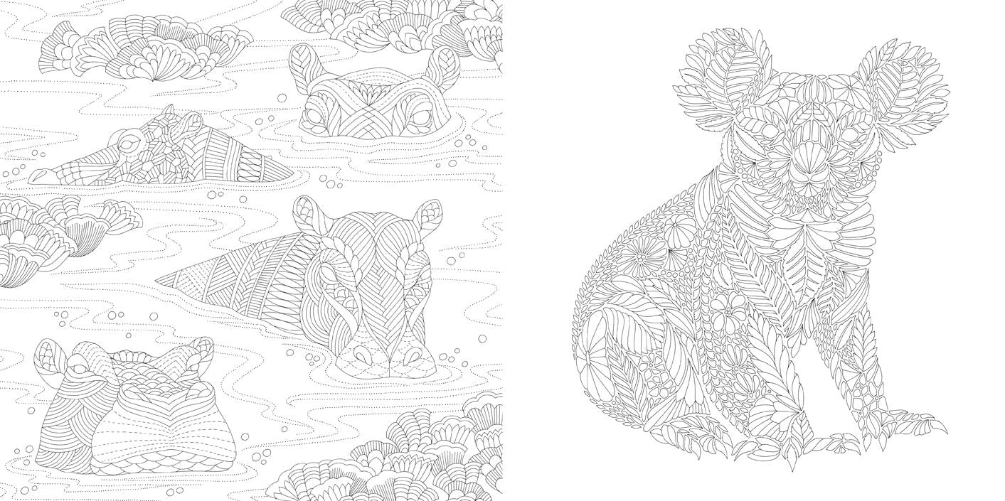 Millie Marotta's Wildlife Wonders: Favorite Illustrations from Coloring Adventures