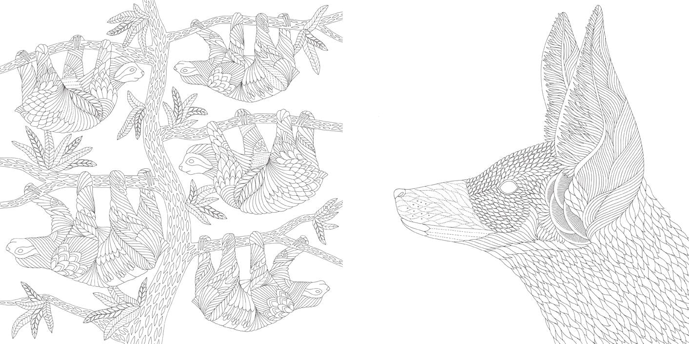 Millie Marotta's Brilliant Beasts: Favorite Illustrations from Coloring Adventures