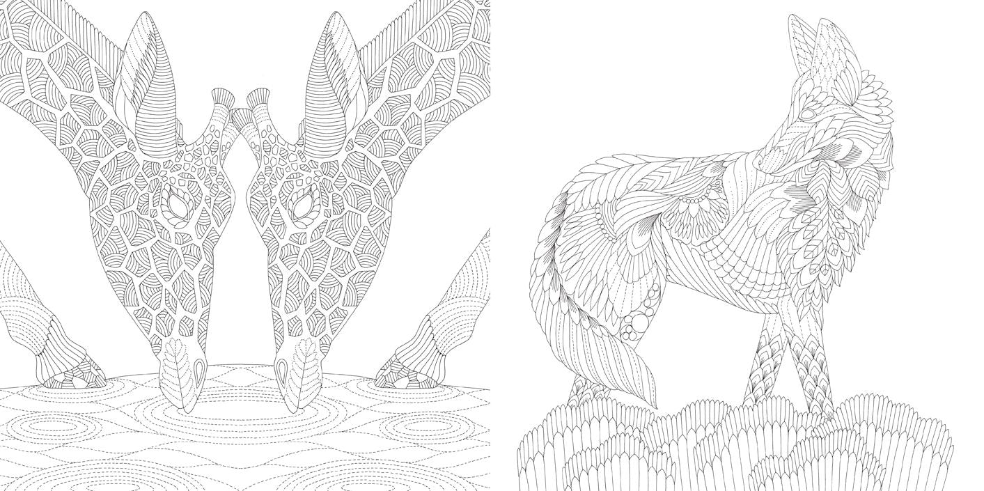 Millie Marotta's Brilliant Beasts: Favorite Illustrations from Coloring Adventures