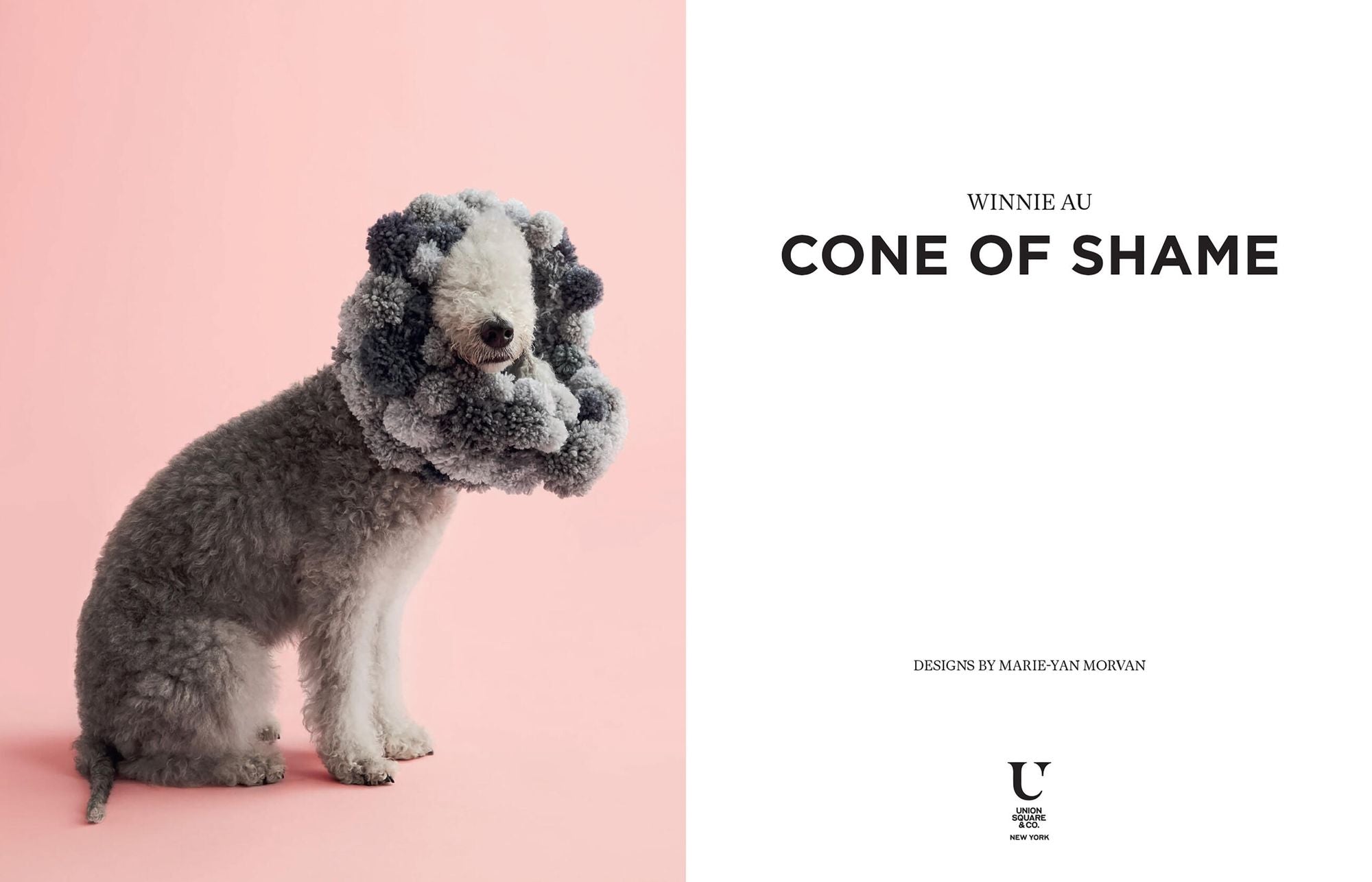 Cone of Shame