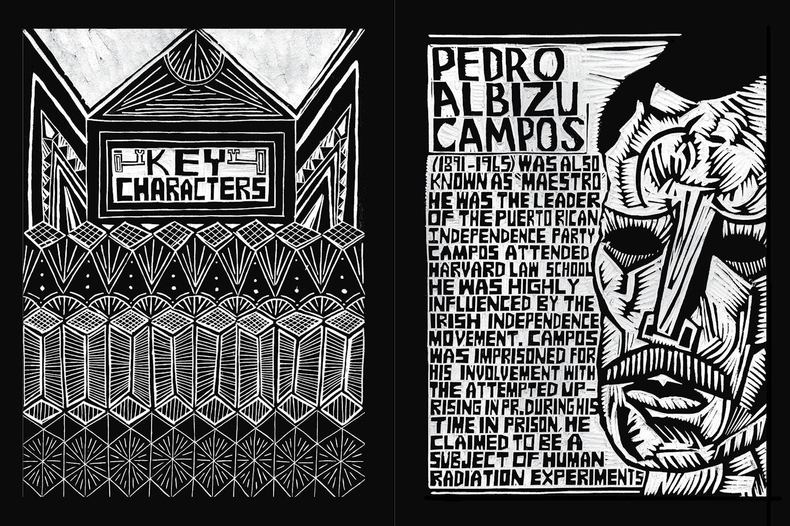 The Puerto Rican War: A Graphic History