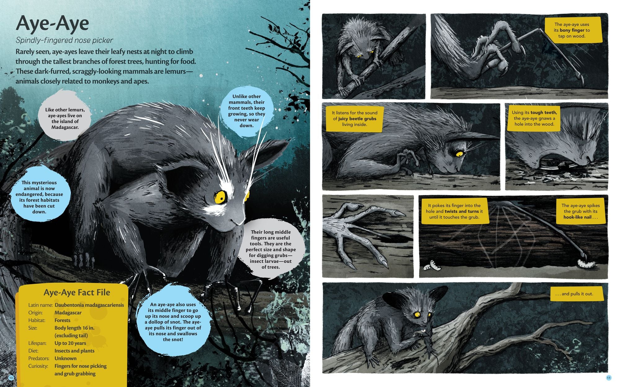 Curious Features of Extraordinary Creatures: The Amazing True Stories of the World's Weirdest Animals