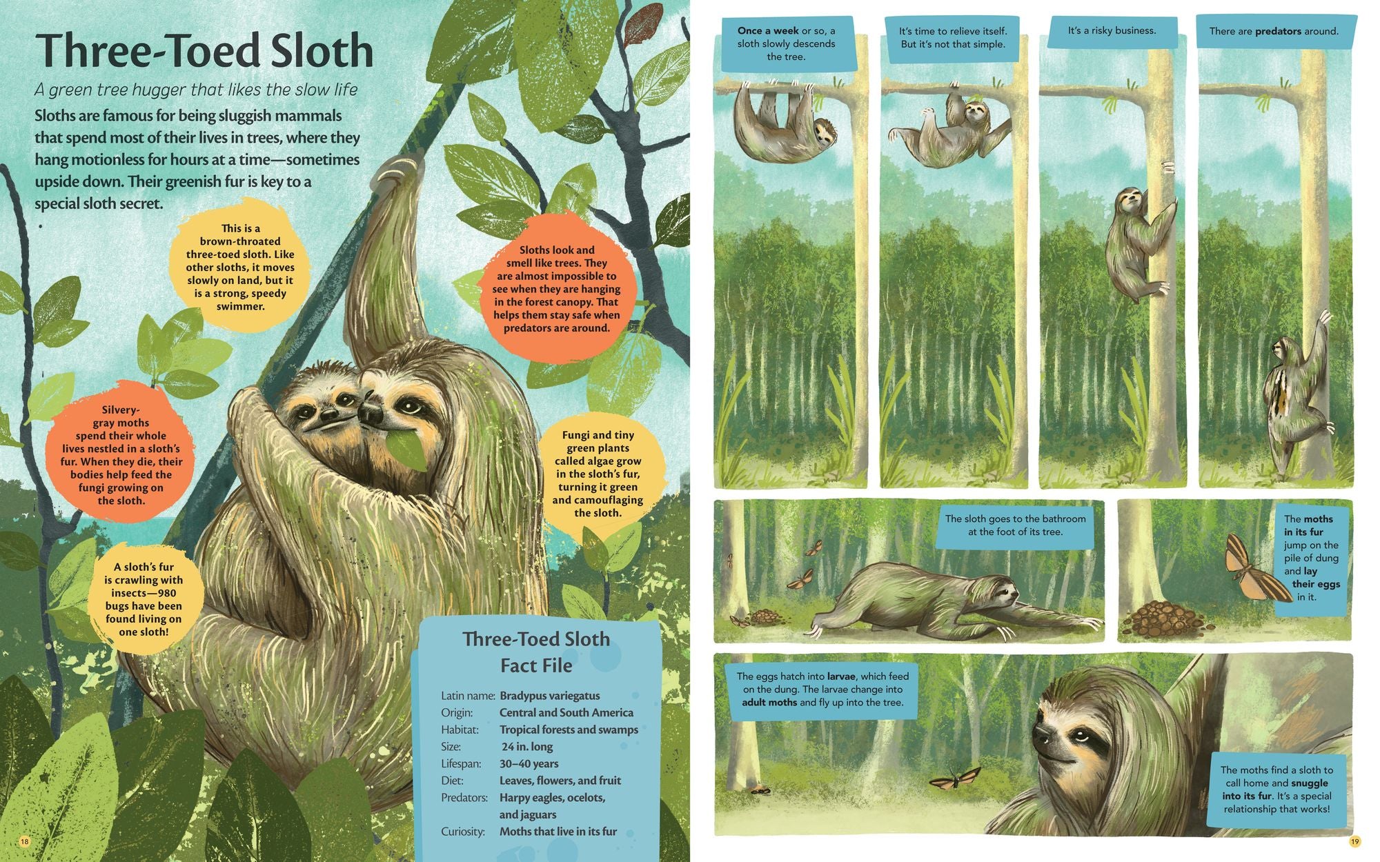 Curious Features of Extraordinary Creatures: The Amazing True Stories of the World's Weirdest Animals