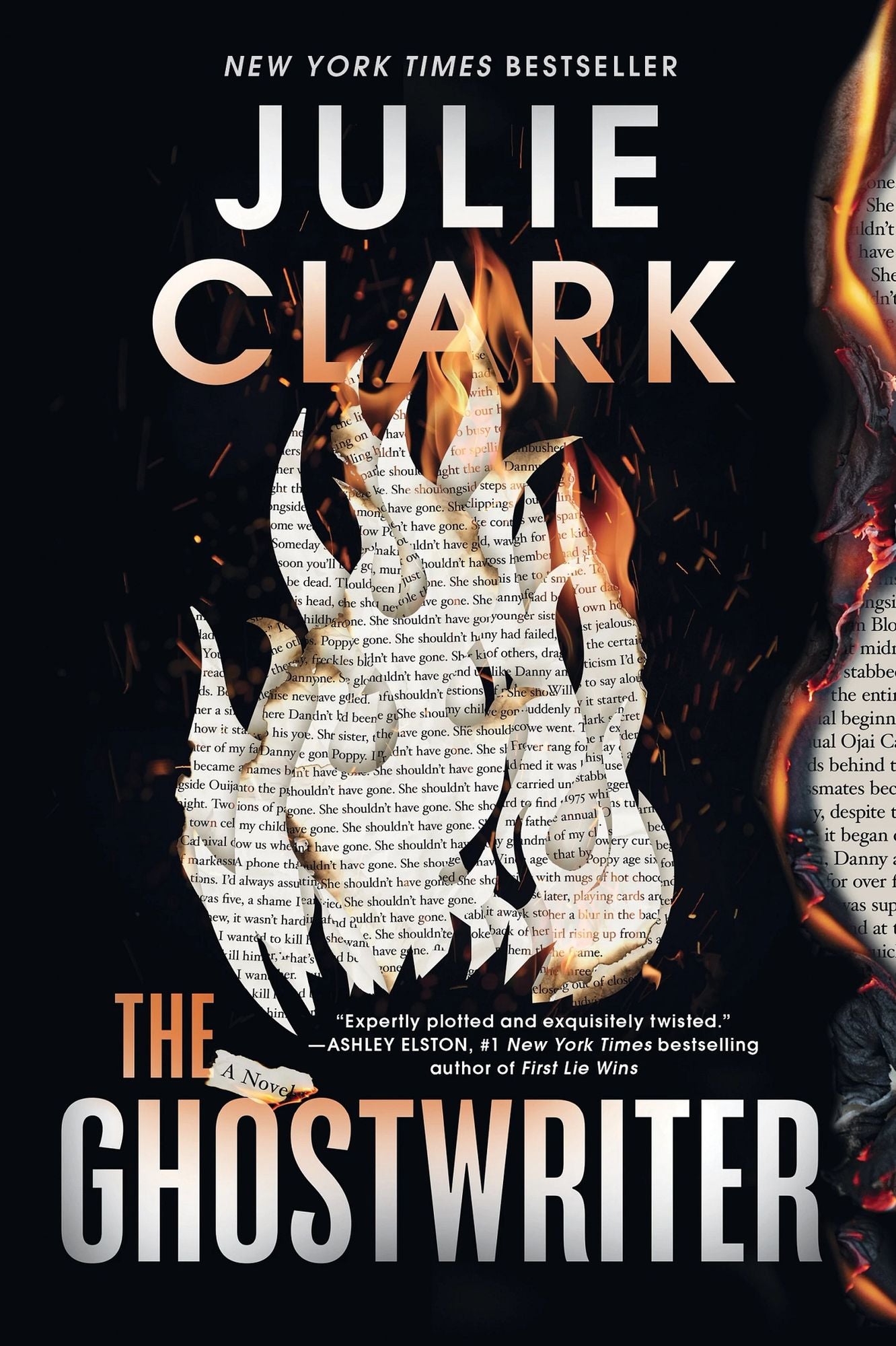 The Ghostwriter (Standard Edition): A Novel