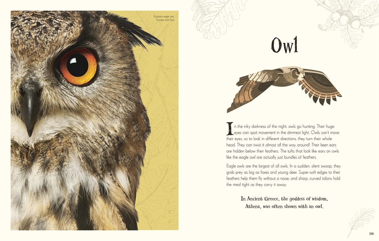 An Anthology of Intriguing Animals: Discover the Fascinating Truths of the Animal Kingdom