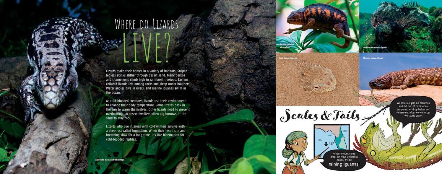 Flick! the Truth about Lizards