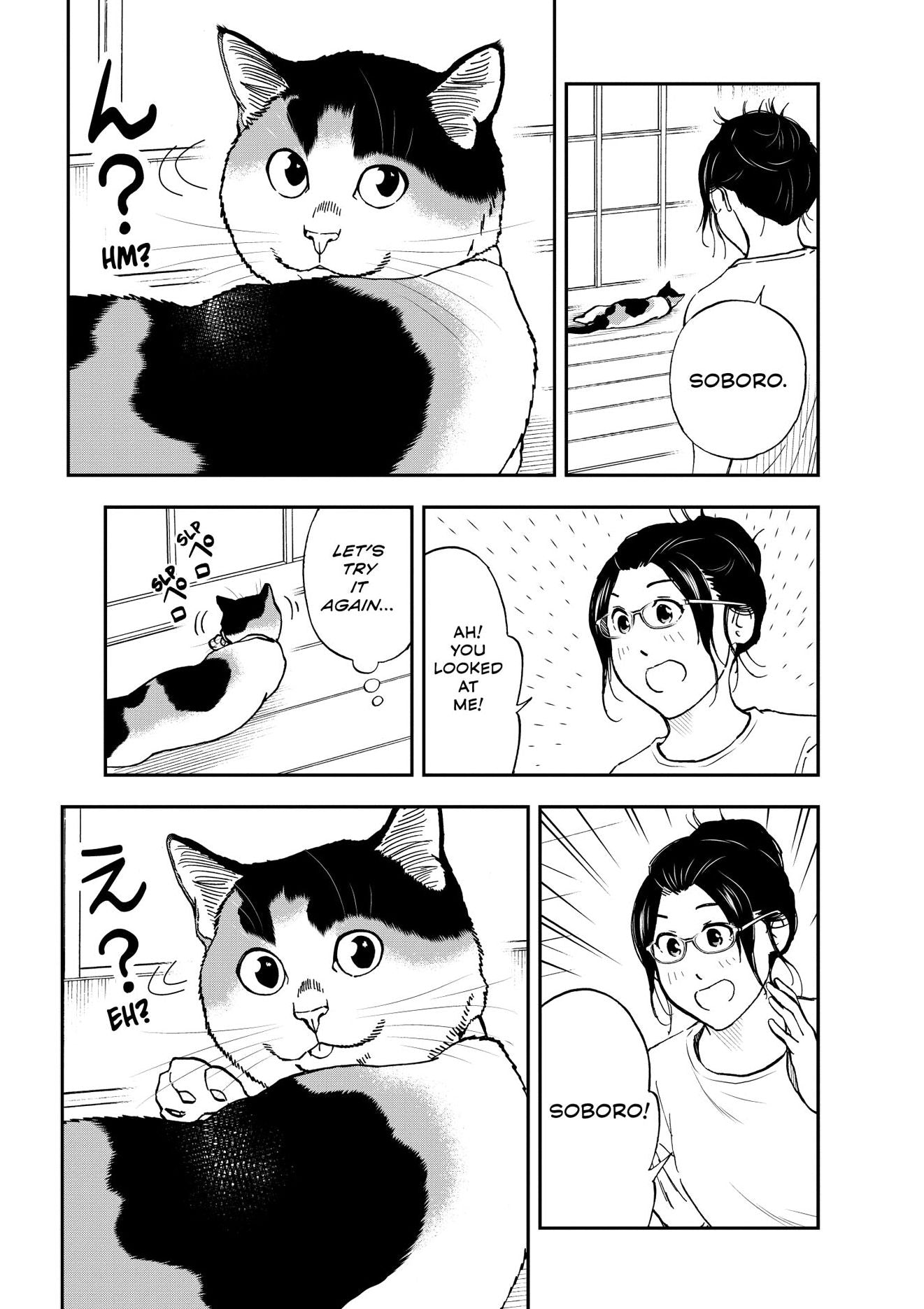 Cat + Gamer Volume 8
