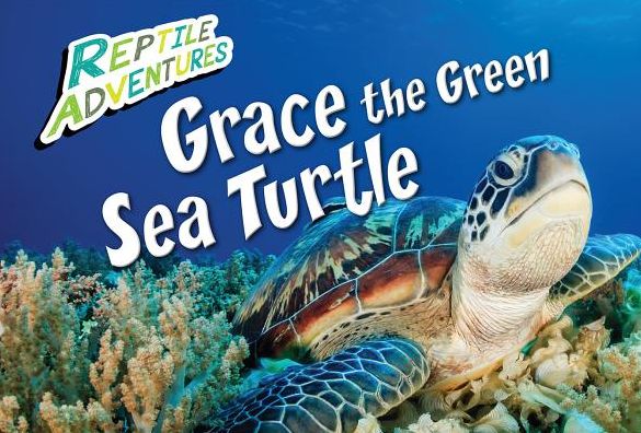 Grace the Green Sea Turtle