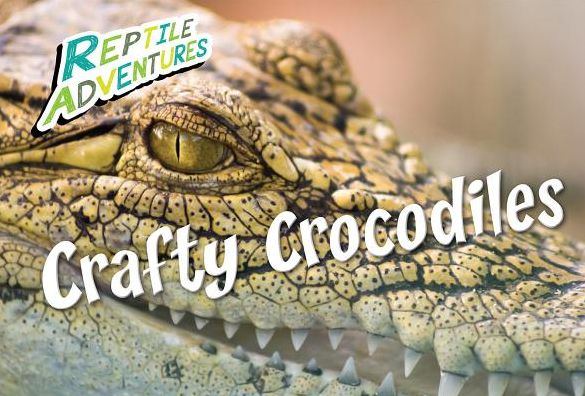 Crafty Crocodiles