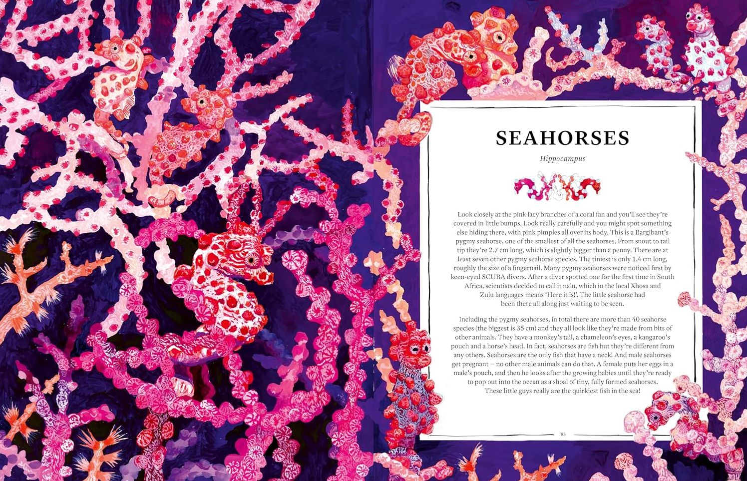 Oceanopedia